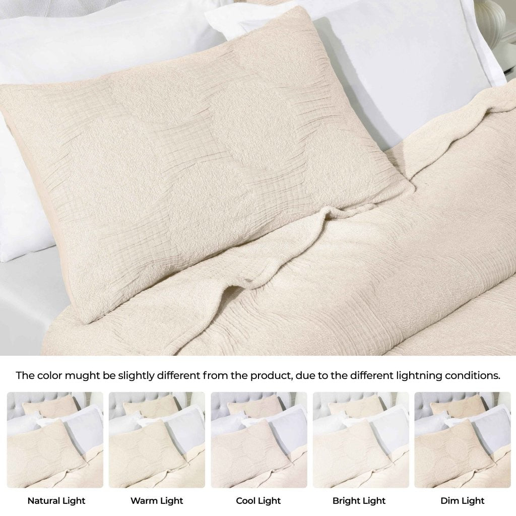 Tanta Cotton Medium Weight Textured Modern Circles Woven Coverlet