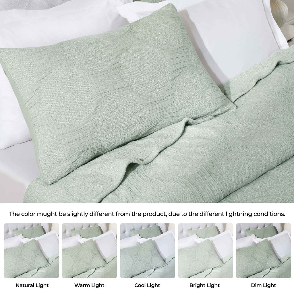 Tanta Cotton Medium Weight Textured Modern Circles Woven Coverlet