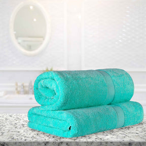 Egyptian Cotton Pile Absorbent 2 Piece Plush Solid Bath Sheet Set - Turquoise