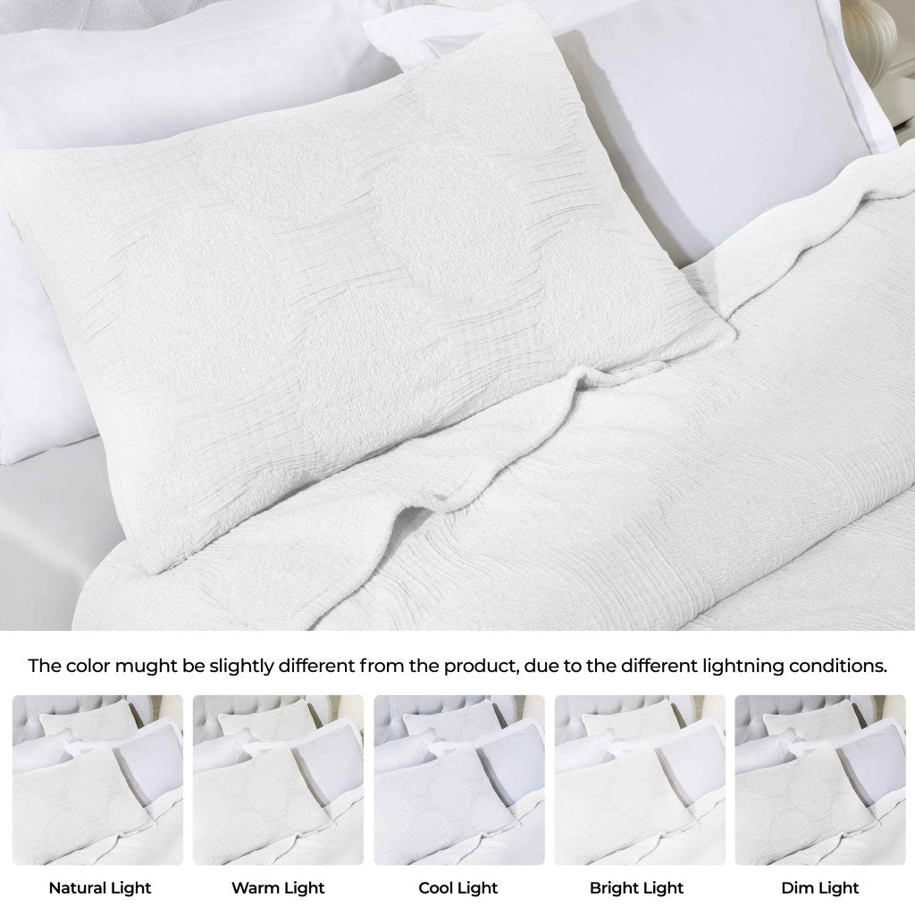 Tanta Cotton Medium Weight Textured Modern Circles Woven Coverlet