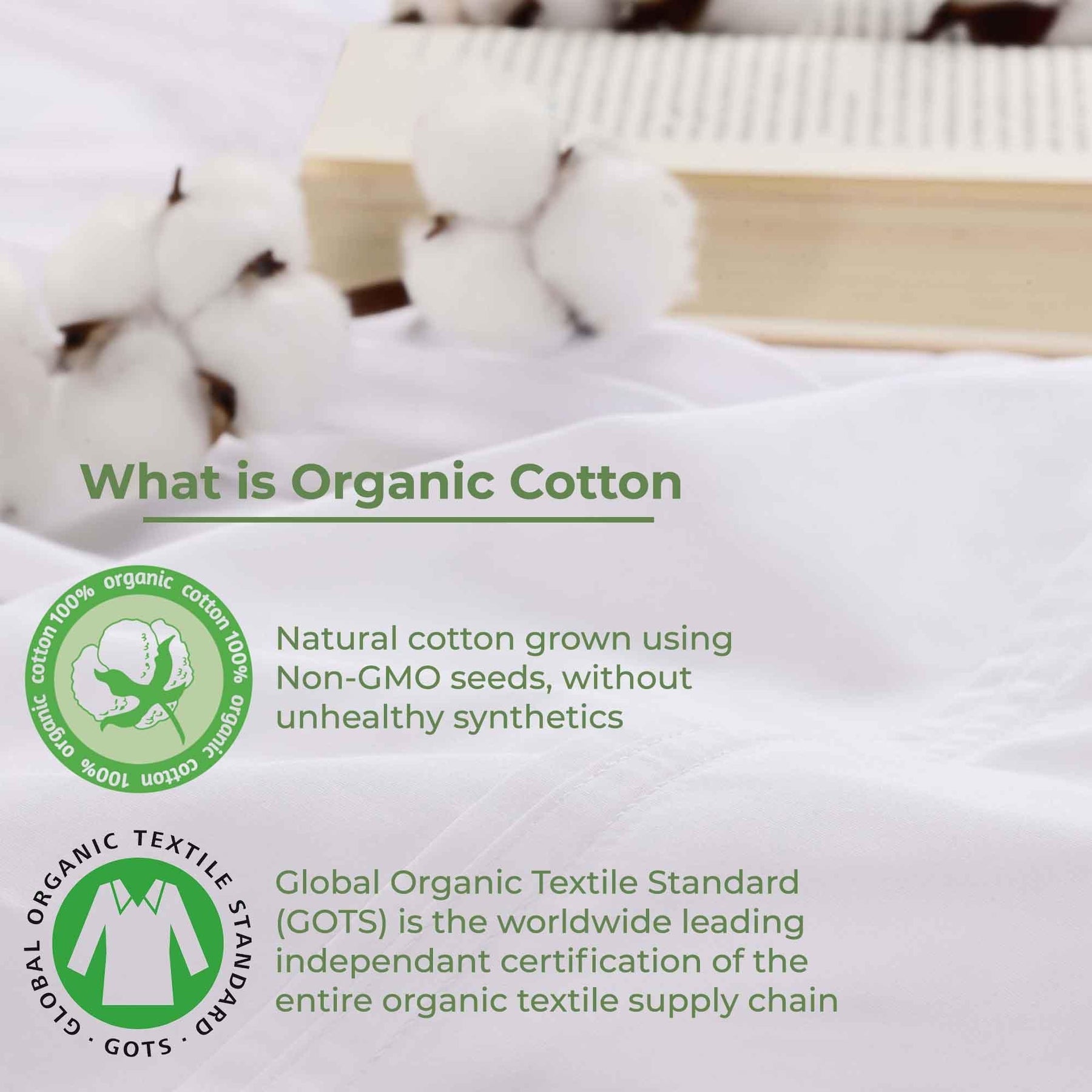 Gina Organic Cotton 300 Thread Count Percale Fitted Bed Sheet - White