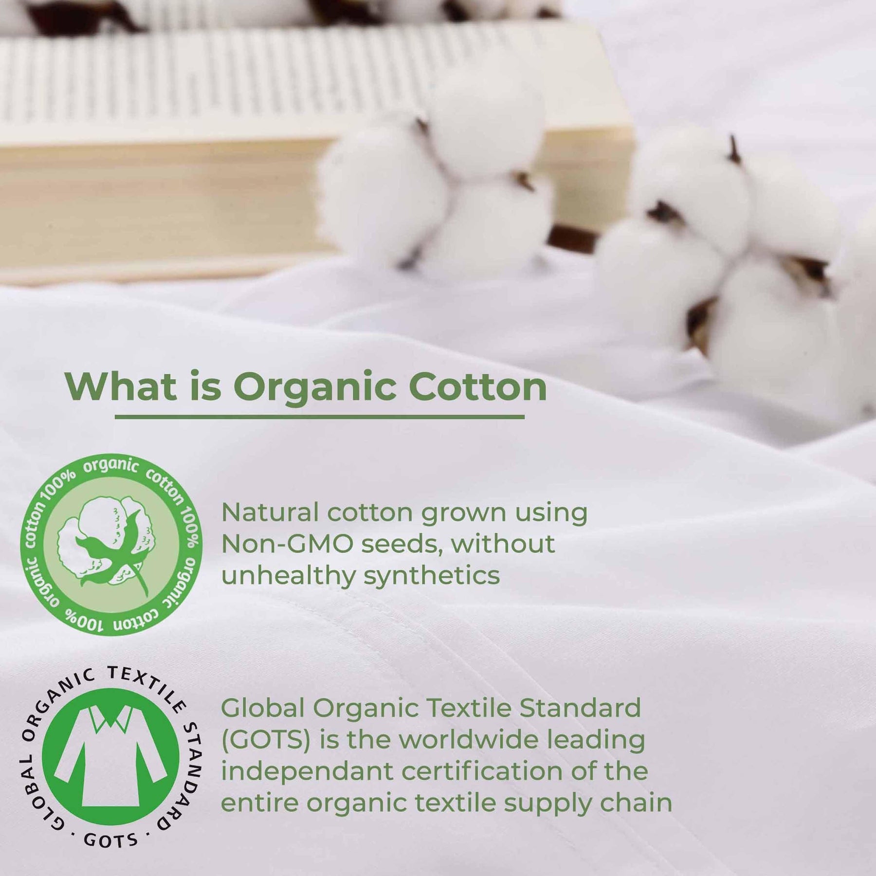 Organic Cotton 300 Thread Count Percale Extra Deep Pocket Sheet Set - Sheet Set by Superior